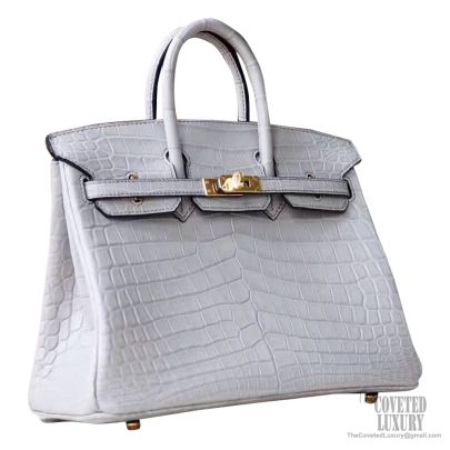 Hermes Birkin 25 Bag cc81 Gris Tourterelle Shiny Nile Croc PHW