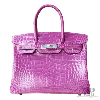 Hermes Birkin 30 Porosus Crocodile Croco Bag Handbag New
