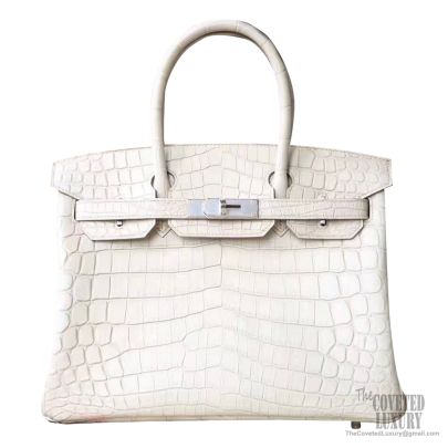 Crocodile skin hermes birkin bag on sale