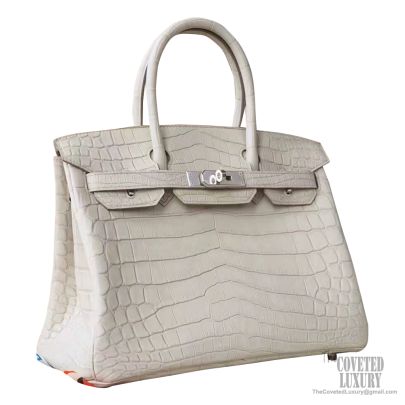 Hermes Birkin 30 Bag 8L Beton Matte Nile Croc GHW