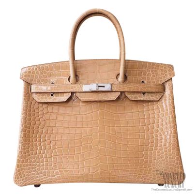 Hermes Shiny Porosus Crocodile Skin Birkin