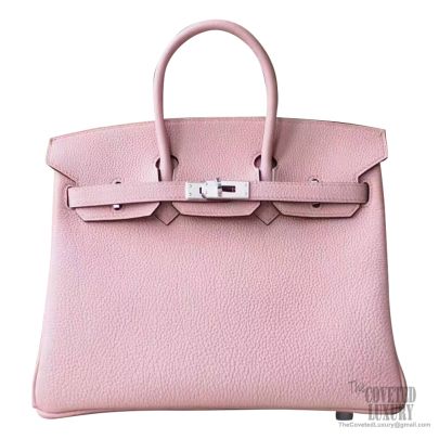 Hermes Birkin 25 Bag 4w Glycine Togo PHW