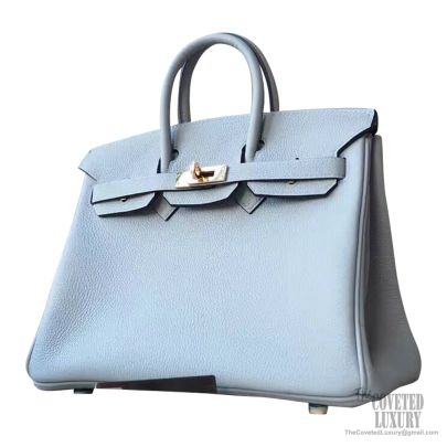 Hermes Birkin Bag Togo Leather Gold Hardware In Sky Blue