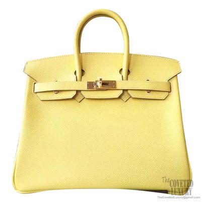 Hermes Birkin 25 Bag 9c Soufre Epsom GHW