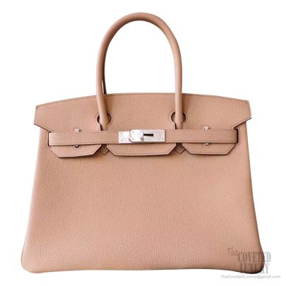 Birkin best sale bag camel