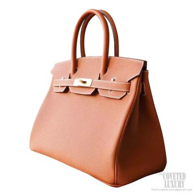 Hermes Birkin 30 Togo Handbag