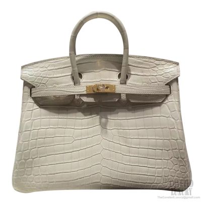 Hermes Birkin 25 Matte Alligator Bag