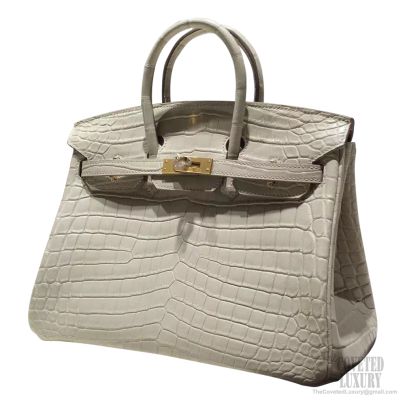 Hermes Birkin 25 Handbag 8L Beton Swift GHW