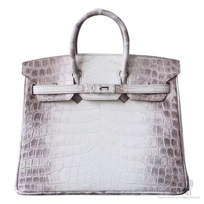 Hermes birkin 25 himalayan online