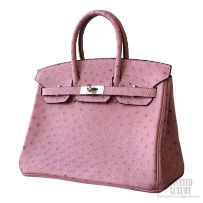 Ostrich Birkin 25 2024 favors