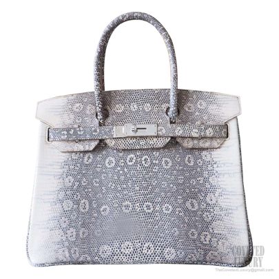 Hermes Birkin 25 Lizard Ombre Only From