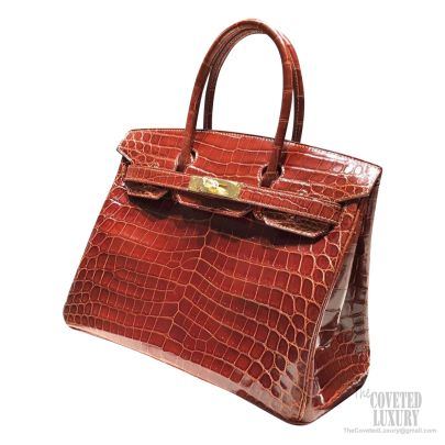 Niloticus crocodile sales birkin