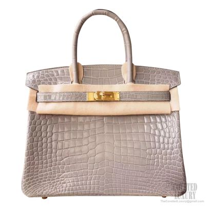 gris tourterelle birkin 30