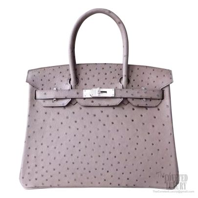 HERMES Ostrich Birkin 30 Graphite 1179661