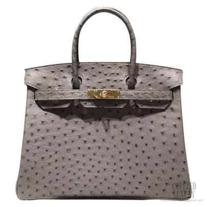 Hermes Birkin 30 Bag Mousse Gray Ostrich GHW