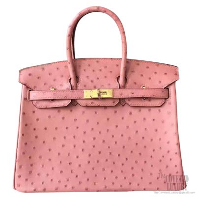 Madison Avenue Couture: Herms Terre Cuite Ostrich Birkin 25cm