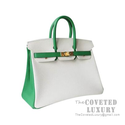 Hermes Birkin 25 Handbag 01 Blanc And 1K Bamboo Togo GHW