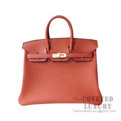 Hermes Birkin 25 Handbag 6C Cuivre Togo GHW