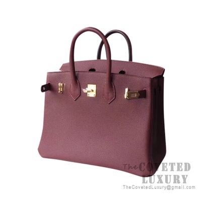 Hermes Birkin 25 Handbag CK55 Rouge H Togo GHW