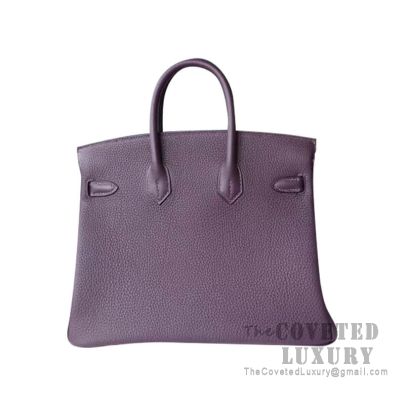 Raisin birkin new arrivals