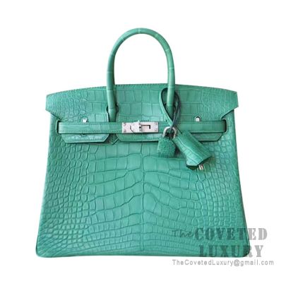 matte alligator birkin