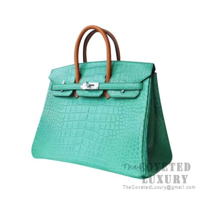 Hermes Birkin 25 Handbag 1L Cactus And Barenia Matte Alligator SHW