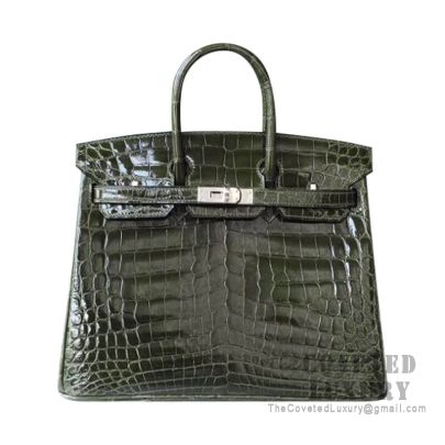 Vert hotsell veronese hermes
