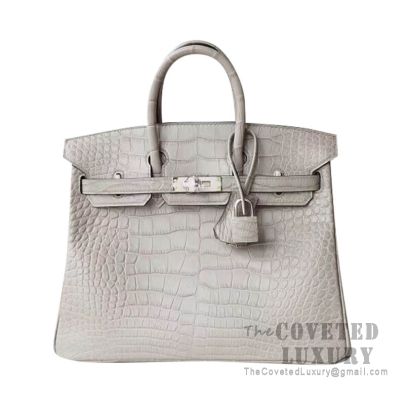 Hermes Birkin 25 Handbag CC80 Pearl Grey Matte Alligator SHW