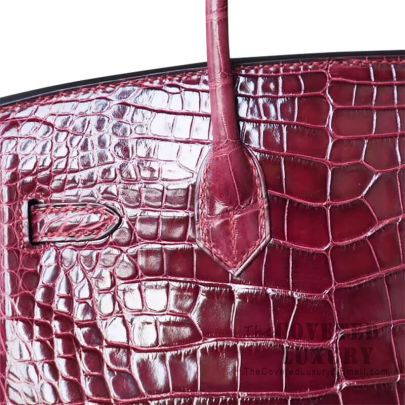 red crocodile hermes birkin bag