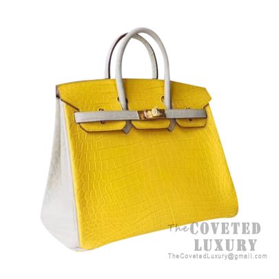 Hermes Birkin 25 Beton Matte Alligator Gold Hardware New U stamp