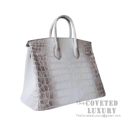 Replica Hermes Birkin 25 Retourne Bag In Himalaya Niloticus