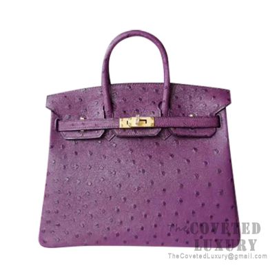 hermes ostrich birkin