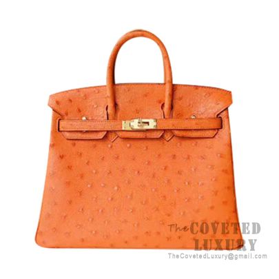 Birkin 25 ostrich handbag