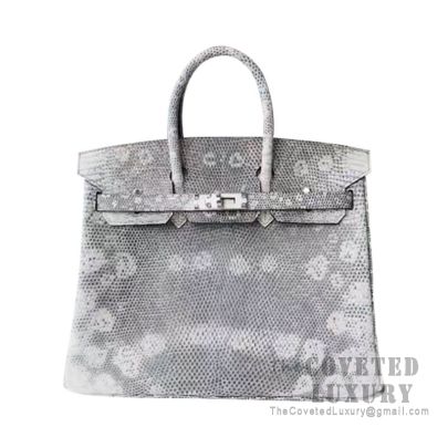 hermes birkin 25 lizard black