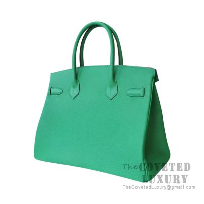 Hermes Birkin Bamboo Green