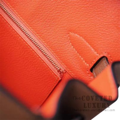 Hermes best sale birkin marron