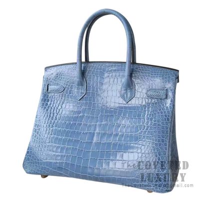 Hermes Birkin 30 Handbag Bag