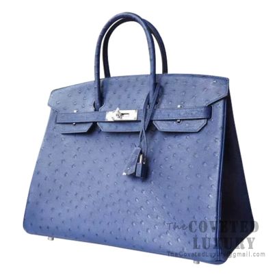 Blue discount ostrich birkin