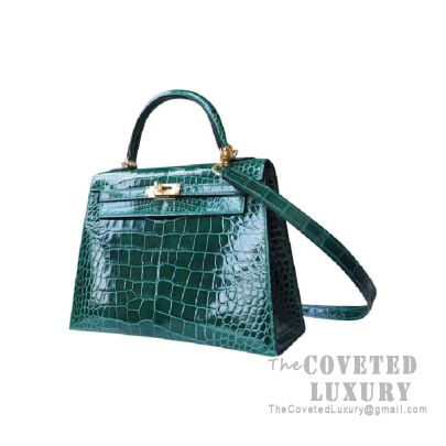 Kelly 25 2025 alligator