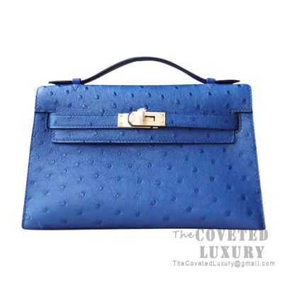 Hermes blue iris ostrich cheap