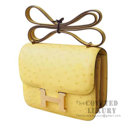 Hermes discount constance ostrich