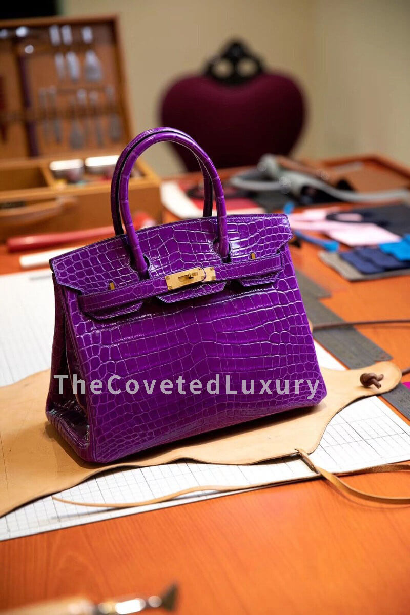 Purple Bag  Purple bags, Fancy bags, Hermes handbags